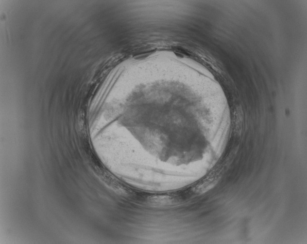 X0000067510361200605051835