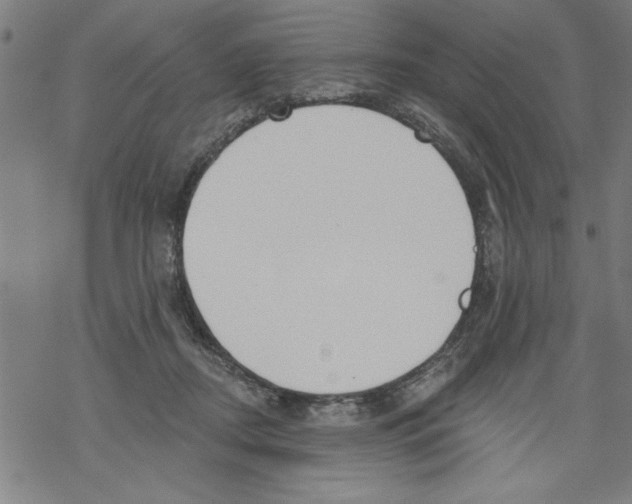 X0000067510362200605051835