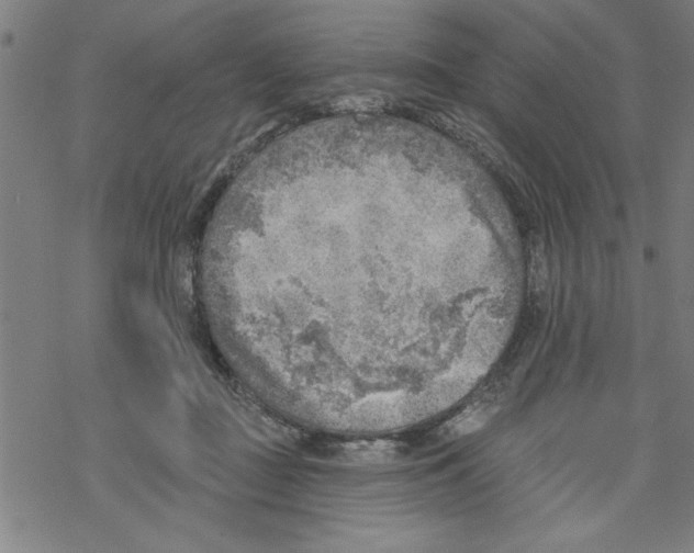 X0000067510363200605051835