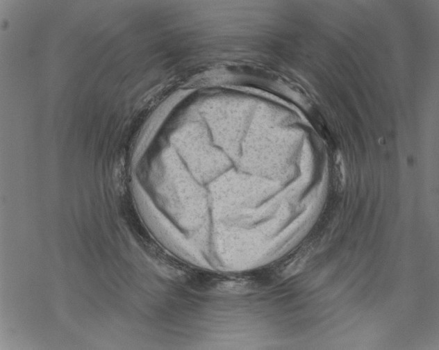 X0000067510364200605051835