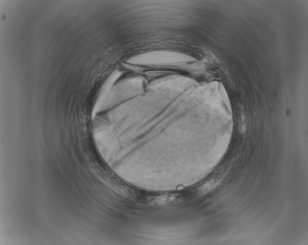 X0000067510366200605051835