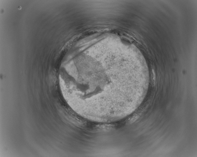 X0000067510367200605051835