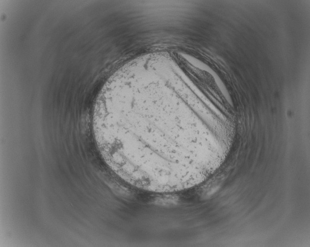 X0000067510369200605051835