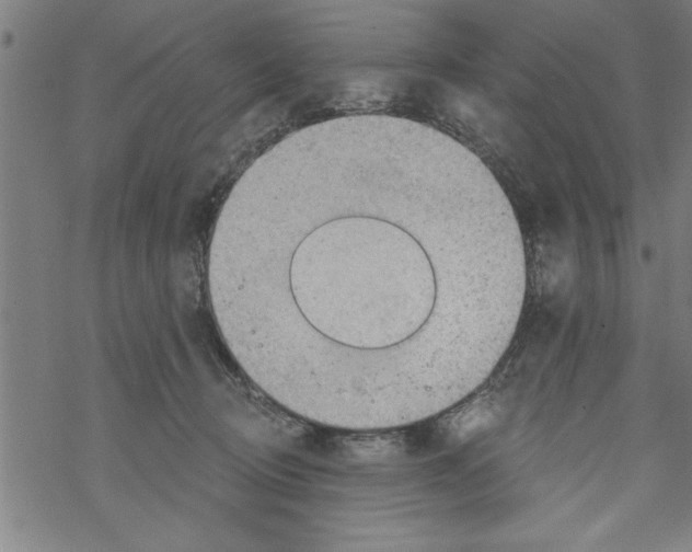 X0000067510370200605051835