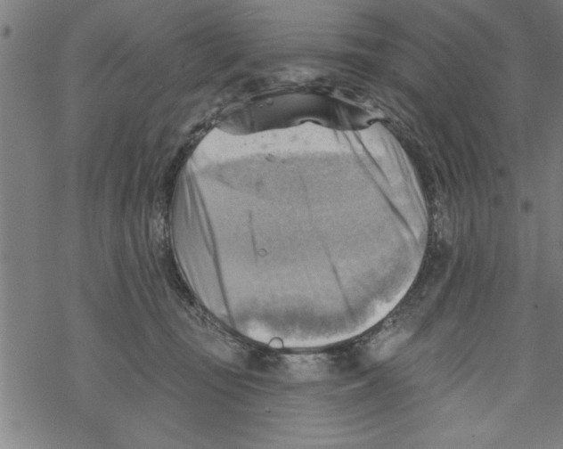 X0000067510371200605051835