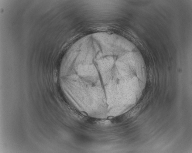 X0000067510374200605051835