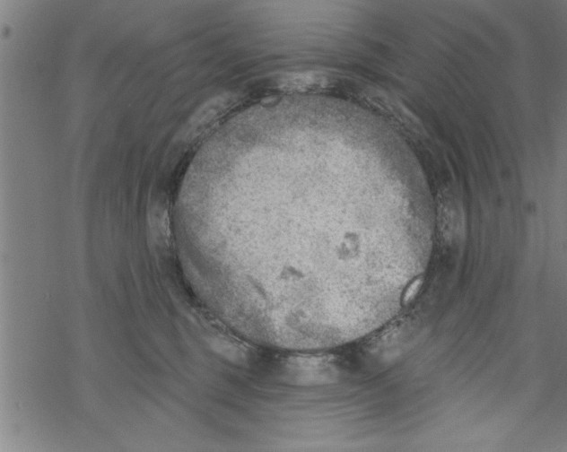 X0000067510375200605051835