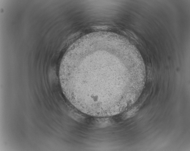 X0000067510377200605051835