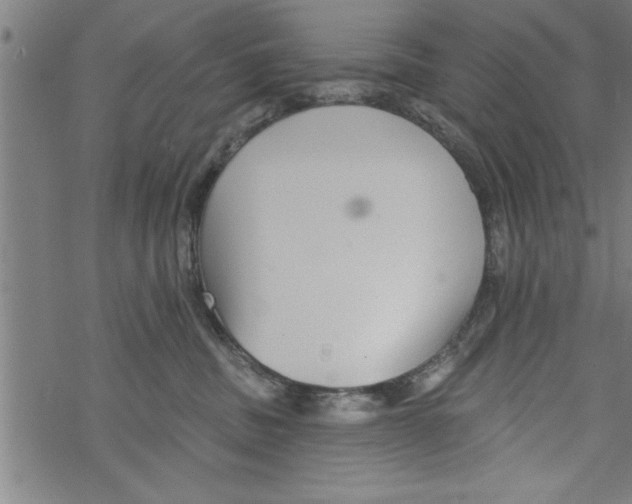 X0000067510379200605051835