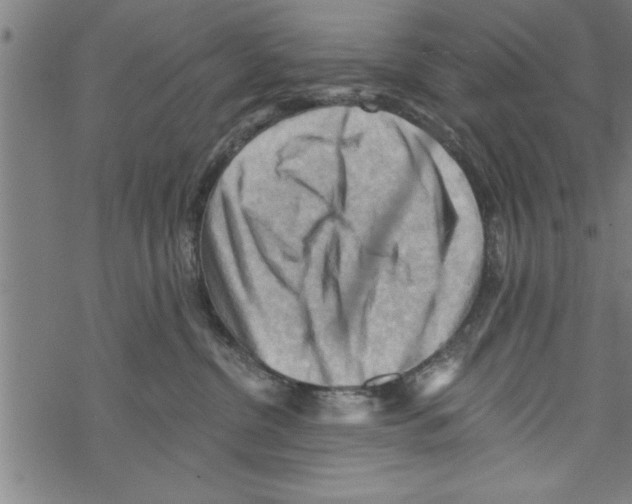 X0000067510380200605051835