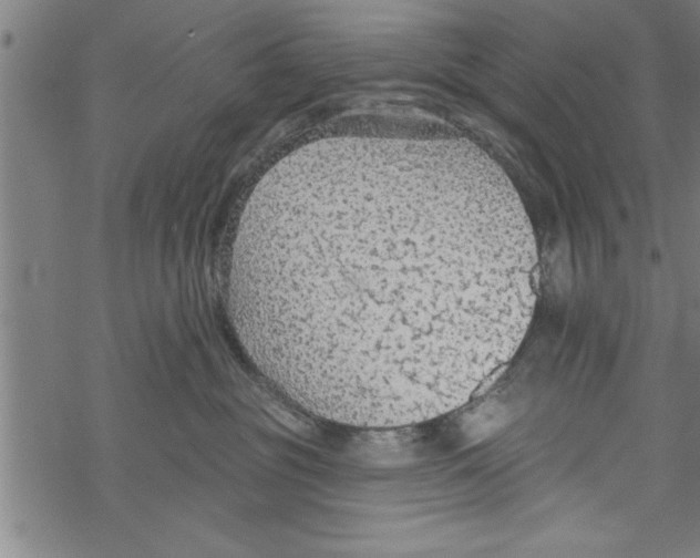 X0000067510381200605051835