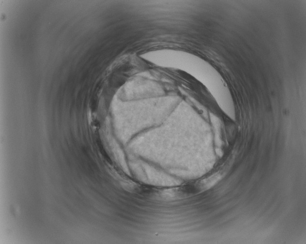 X0000067510382200605051835