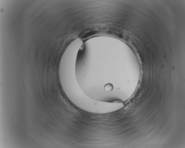 X0000067510383200605051835