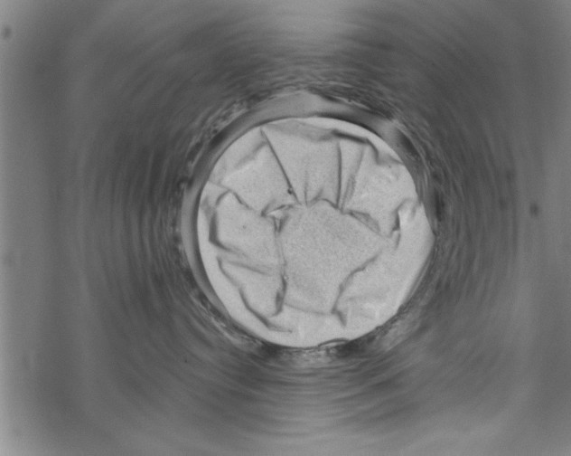 X0000067510384200605051835