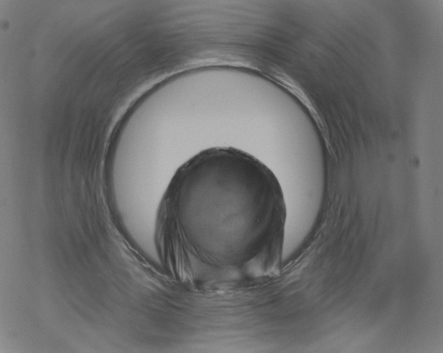 X0000067510387200605051834