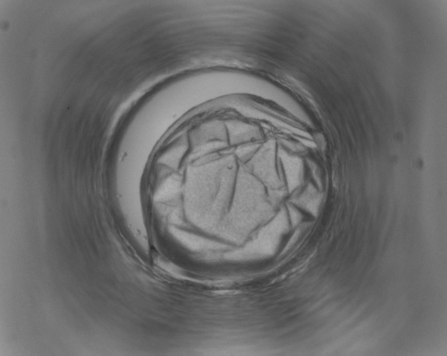 X0000067510388200605051834