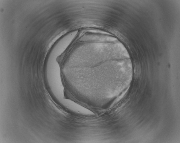 X0000067510390200605051834