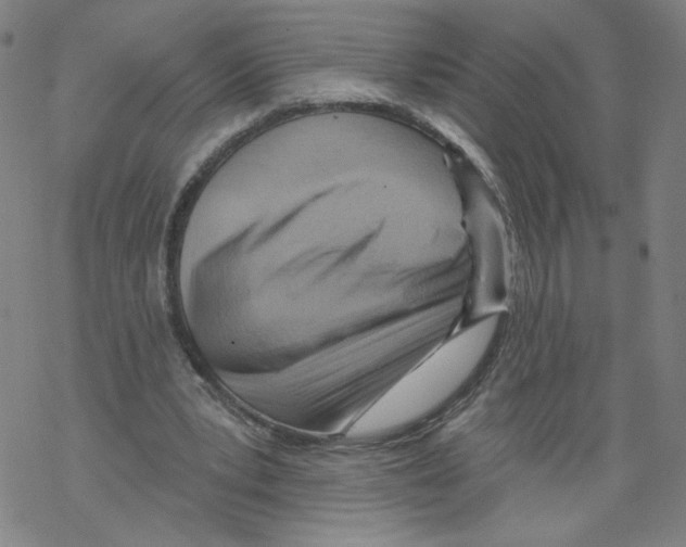 X0000067510391200605051834