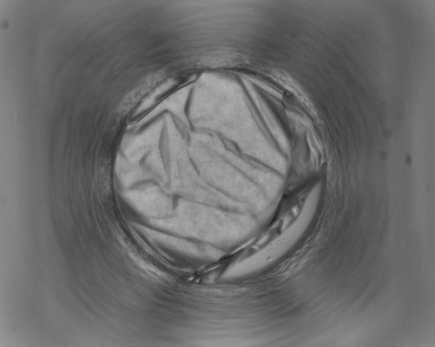 X0000067510393200605051834