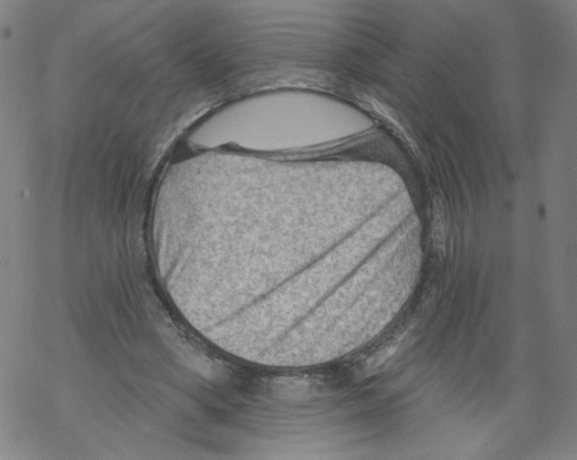 X0000067510394200605051834