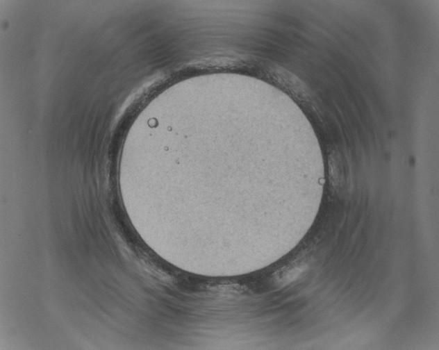 X0000067510396200605051834