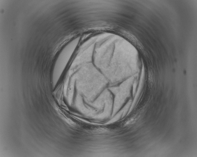 X0000067510397200605051834