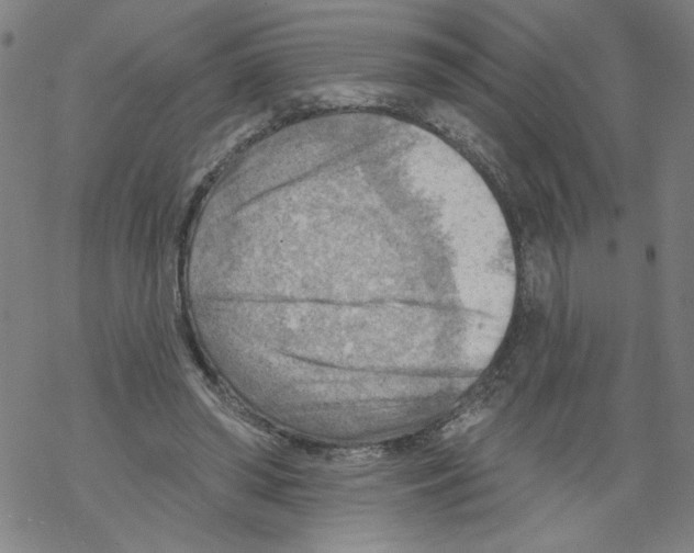 X0000067510398200605051834