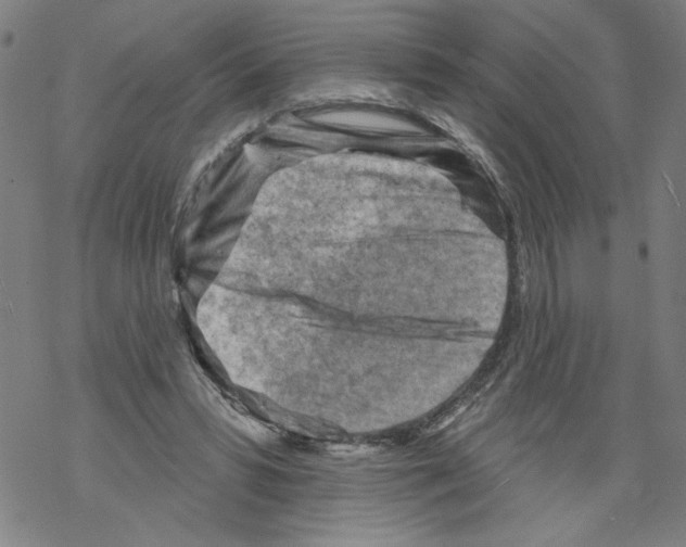 X0000067510399200605051834