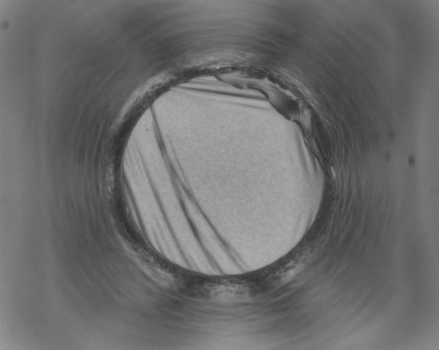 X0000067510400200605051834