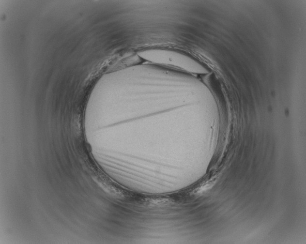 X0000067510401200605051834