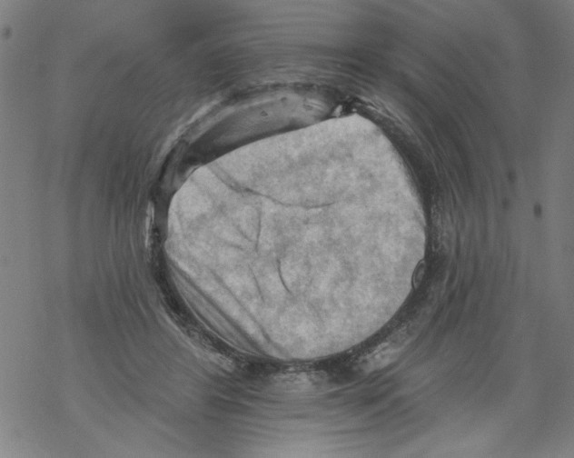 X0000067510404200605051834