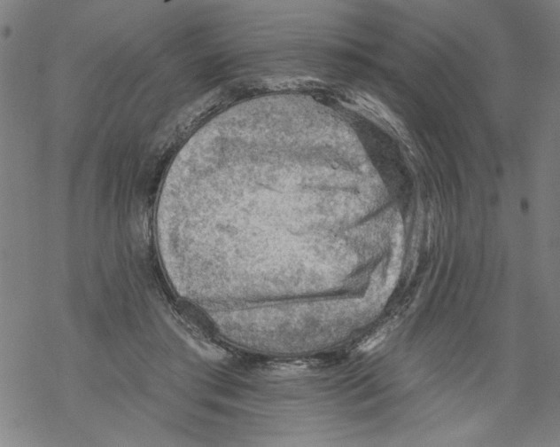 X0000067510405200605051834