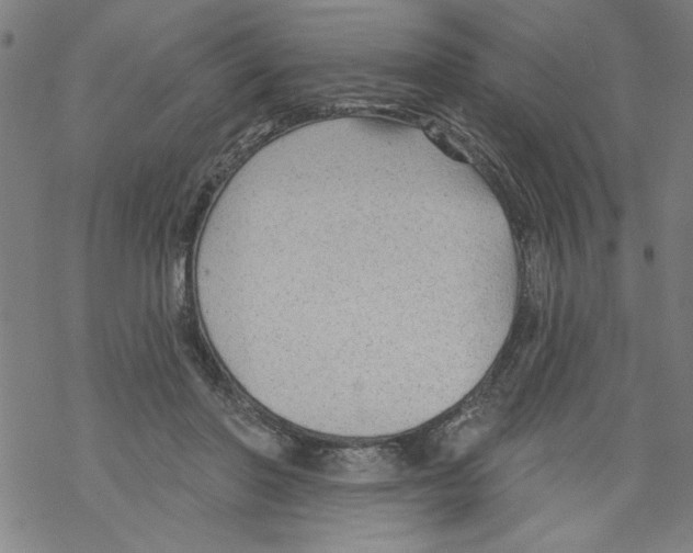 X0000067510406200605051834