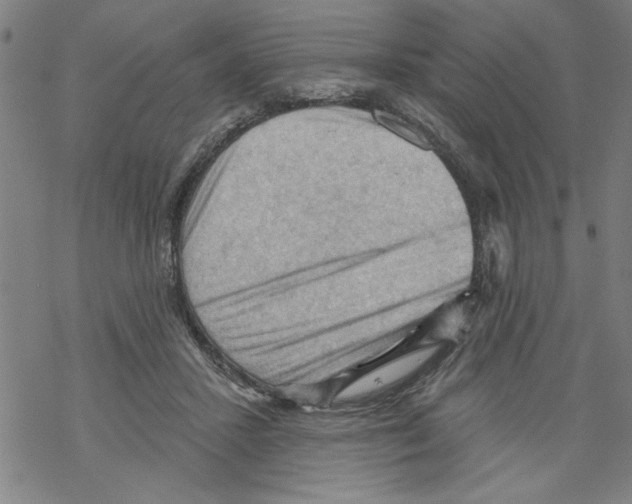 X0000067510407200605051834