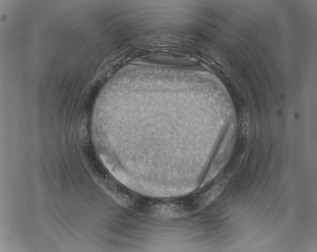 X0000067510408200605051834