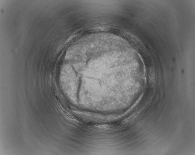 X0000067510409200605051834