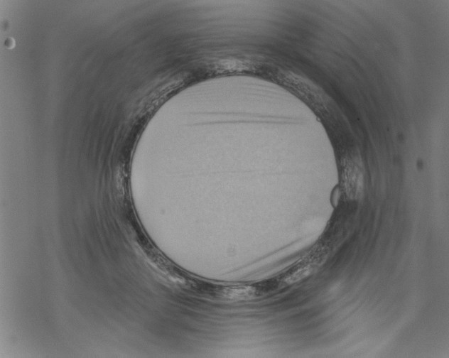 X0000067510410200605051834