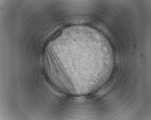 X0000067510411200605051834