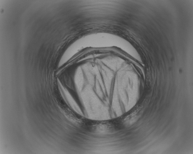 X0000067510412200605051834