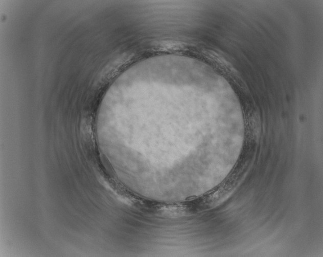 X0000067510415200605051834