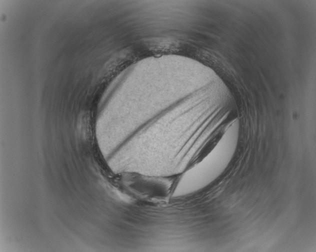 X0000067510416200605051834