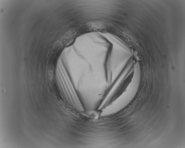 X0000067510417200605051834