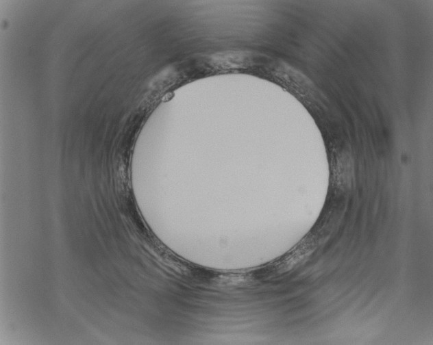 X0000067510418200605051834