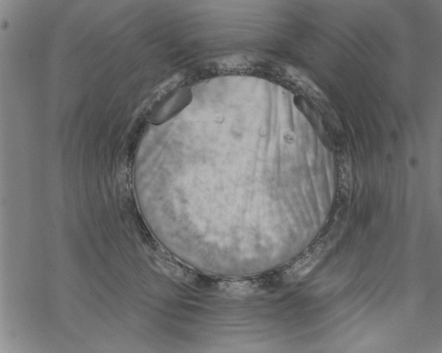 X0000067510419200605051834