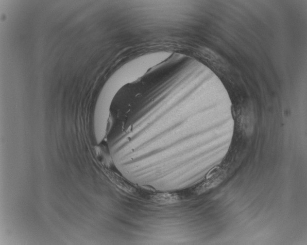 X0000067510421200605051834