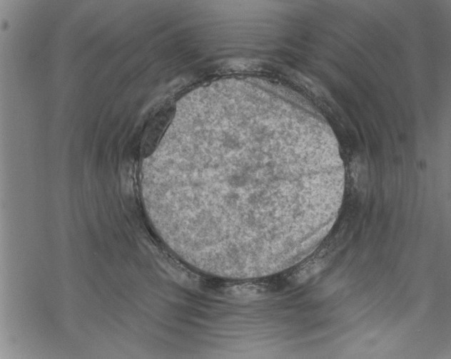 X0000067510423200605051834