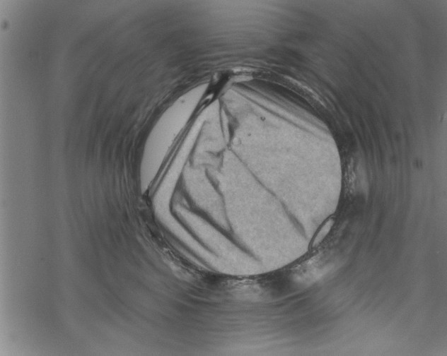 X0000067510424200605051834