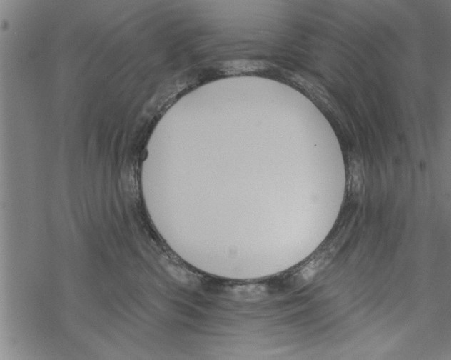 X0000067510426200605051834