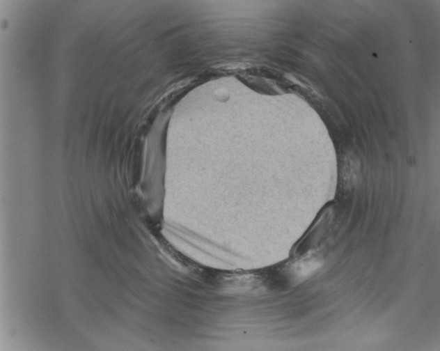 X0000067510428200605051834