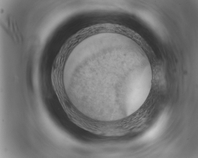 X0000067510431200605051834